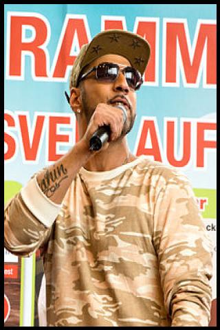 Famous People with name Mehrzad