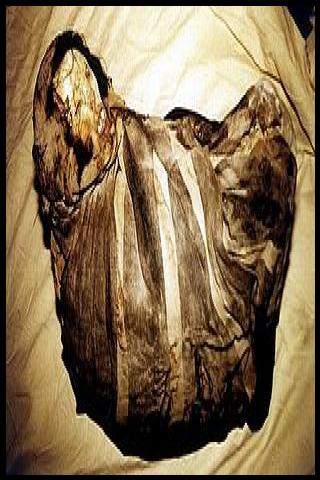 Famous People with name Mummy