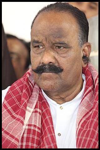 Famous People with name Naini