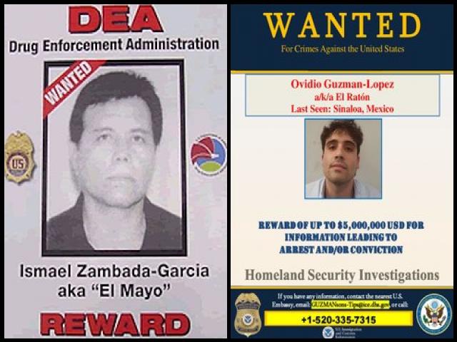 Famous People with name Ovidio