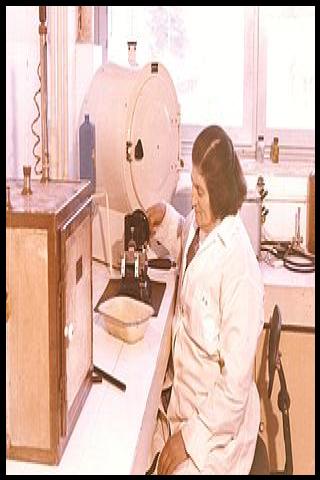 Famous People with name Sabire