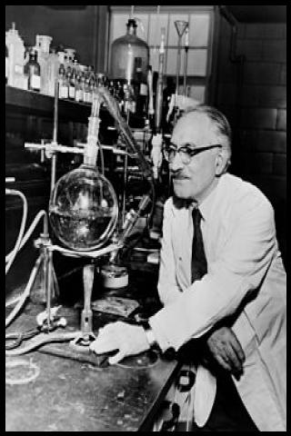 Famous People with name Selman