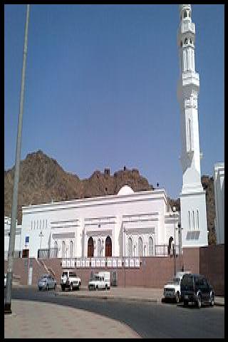 Famous People with name Siddiq