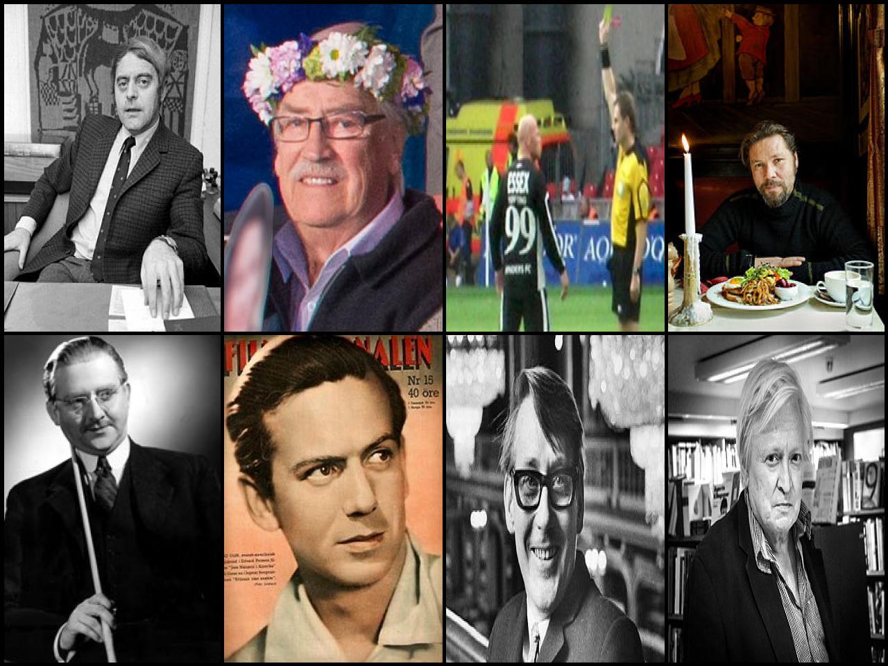 Famous People with name Stig