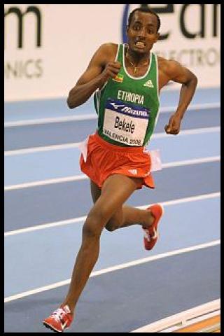 Famous People with name Tariku