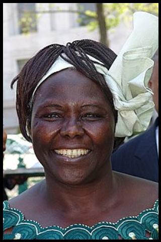 Personas famosas llamadas Wangari