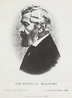 Arcangelo Scacchi