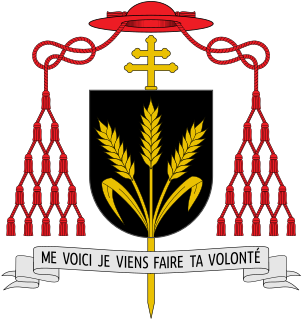 Christian Wiyghan Tumi