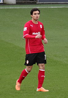 Fábio Pereira da Silva