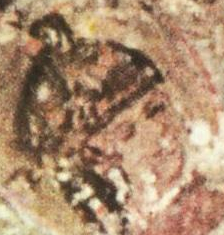 Ivan Asen IV of Bulgaria