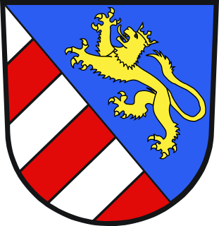 John Meinhard VII, Count of Gorizia