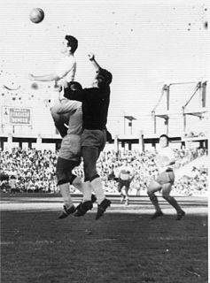 Marcelino Vaquero González del Río