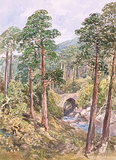 Mary Balfour Herbert