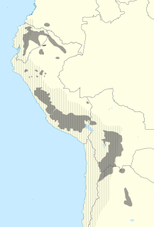 Quechua