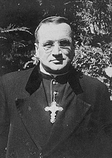 Vladimiro Boric Crnosija