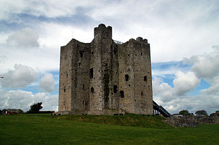 Walter de Lacy, Lord of Meath